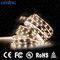 0,5W RGB Digital Rgb Led Strip, Lampu Fleksibel Tahan Air DC12V SMD 5050 IP20 IP65