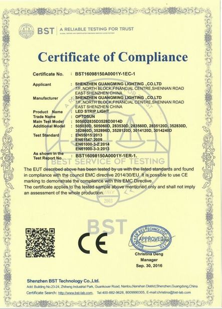 Cina Shenzhen GM lighting Co.,Limited. Sertifikasi