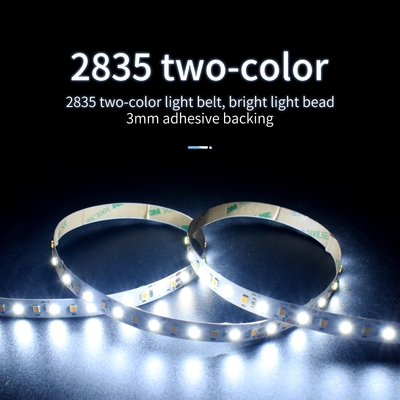 12V 24V Neon 12W Lampu LED Tegangan Rendah Dengan Sabuk Lampu Cerdas